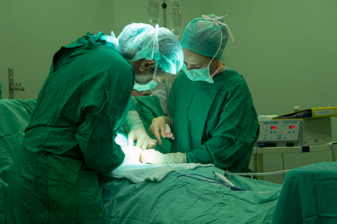 Essential Guide to Veterinary Surgical Procedures and Sutures