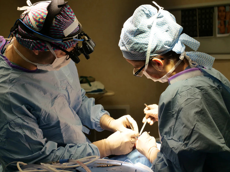 Durable Absorbable Surgical Sutures for Veterinary Use