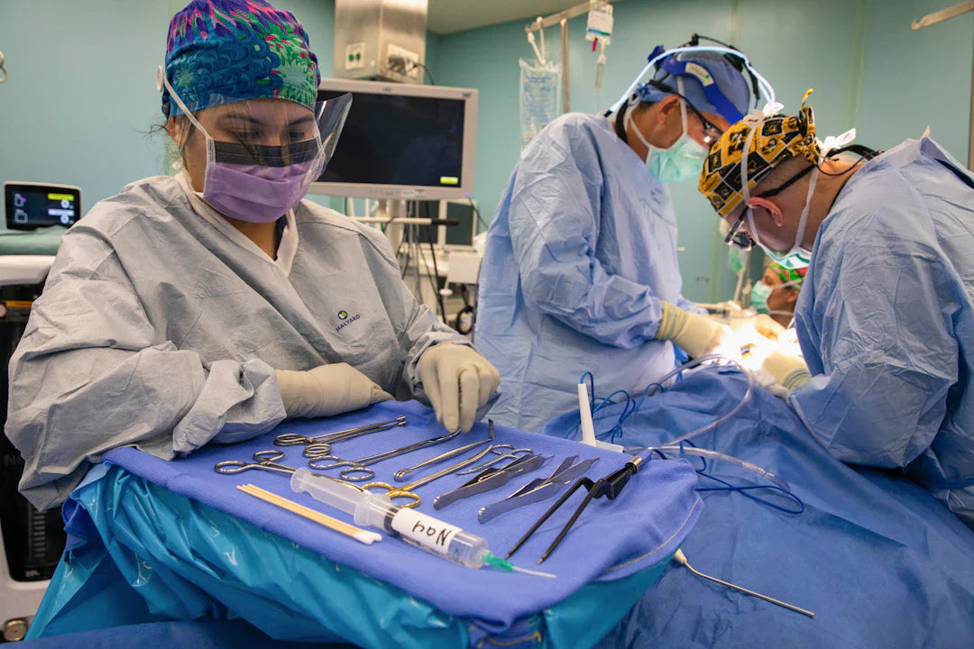 Speeding Up Healing with Veterinary Sutures