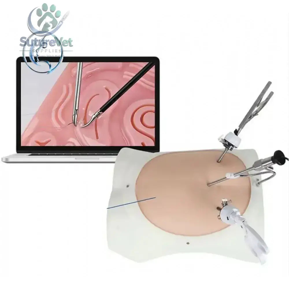 Advanced laparoscopic trainer box with articulated surgical instruments and anatomical model for minimally invasive surgery simulation