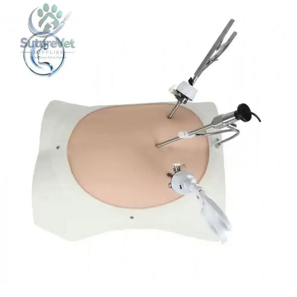 Advanced laparoscopic trainer box with realistic abdominal skin texture and embedded tools for minimally invasive surgery training