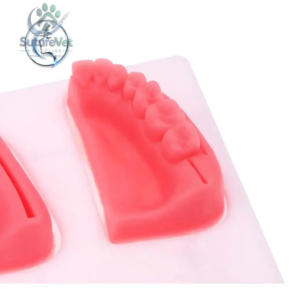 Dental Oral Gum Silicone Periodontitis Suture Model – Realistic Suturing Training Pad for Students Surgery Practice &