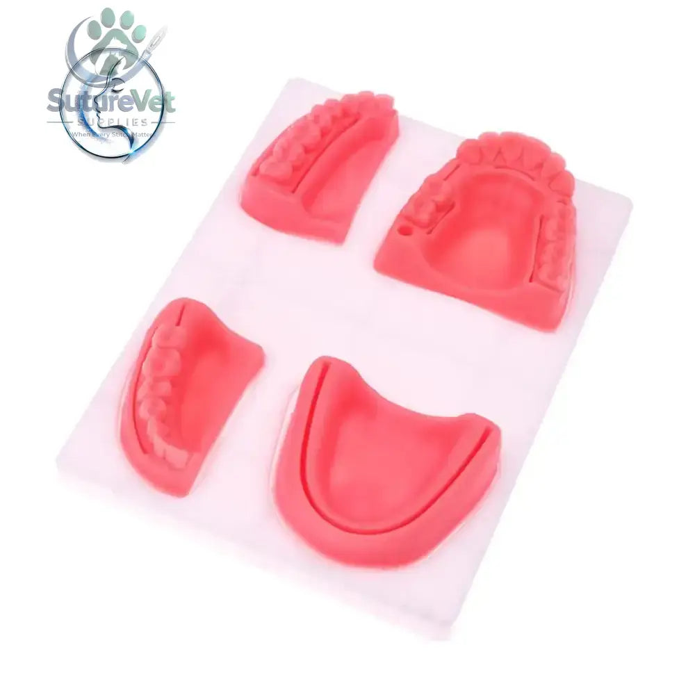Dental Oral Gum Silicone Periodontitis Suture Model – Realistic Suturing Training Pad for Students Surgery Practice &