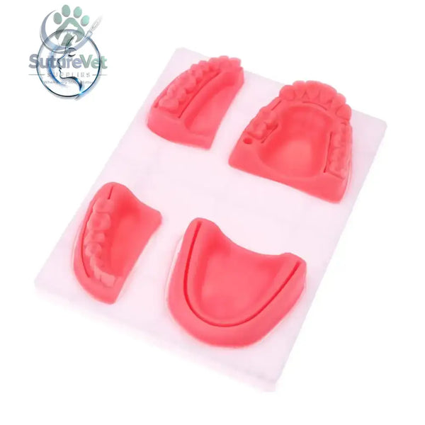 Dental Oral Gum Silicone Periodontitis Suture Model – Realistic Gum Suturing Training Pad for Dental Students, Oral Surgery Practice & Clinical Skills Education
