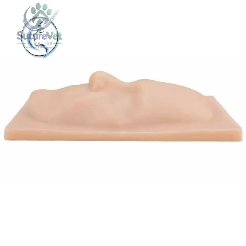 Facial Suturing Training Model – Silicone Face Suture Practice Pad for Surgical Skills - Kit