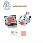 White plastic laparoscopic trainer box with pink anatomical model and surgical tools for minimally invasive surgical training simulator