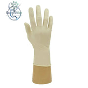 Polyco Healthline GD05 Powder-Free Latex Disposable Gloves – Medical & Hygiene PPE