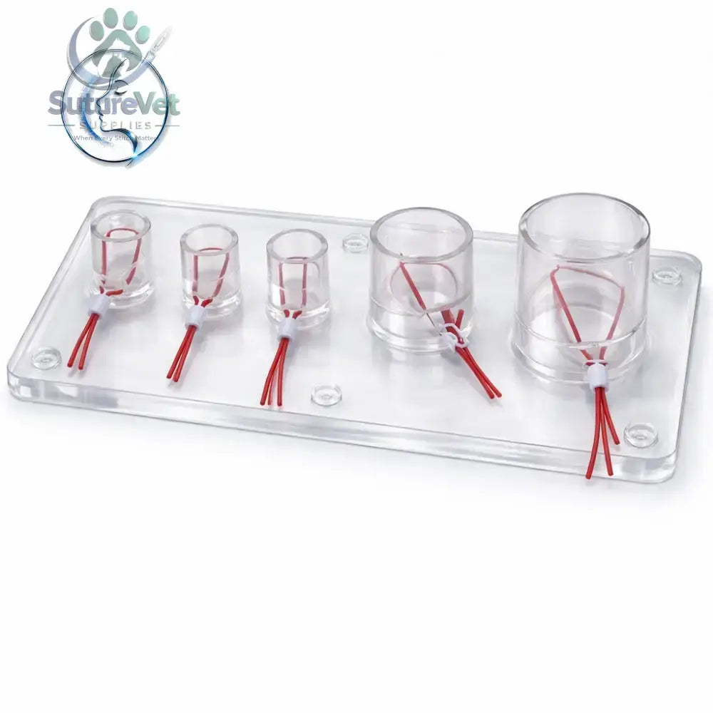 Clear plastic tray with five transparent cylindrical holders containing red wires and white connectors for vascular ligation training