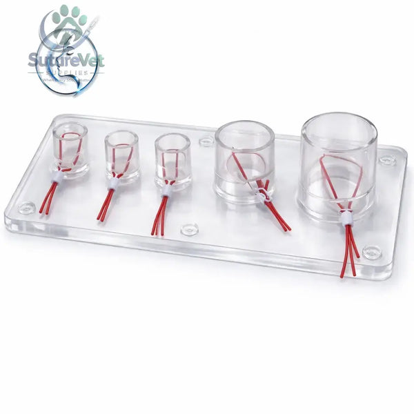 Vascular Ligation Training Simulator – Surgical Vessel Ligation Practice Model